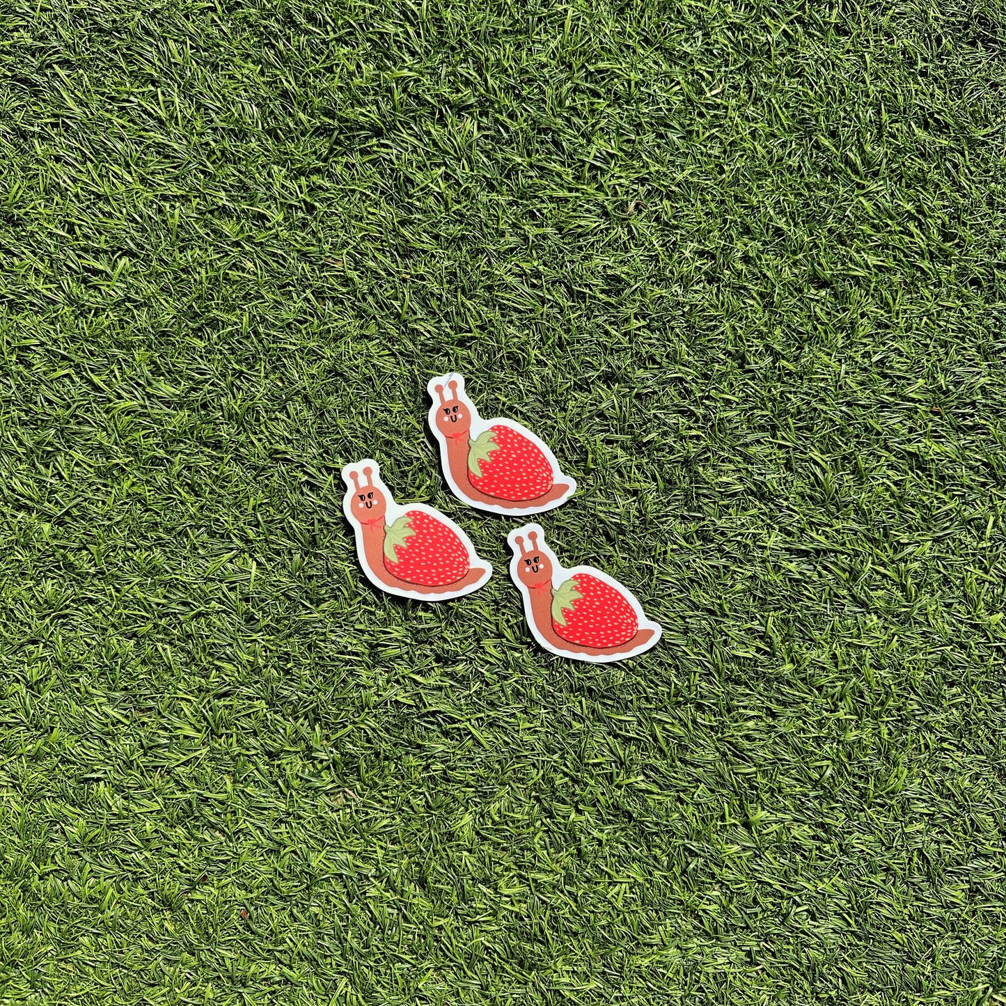 Strawberry Snail Sticker | Water Bottle & Laptop Sticker