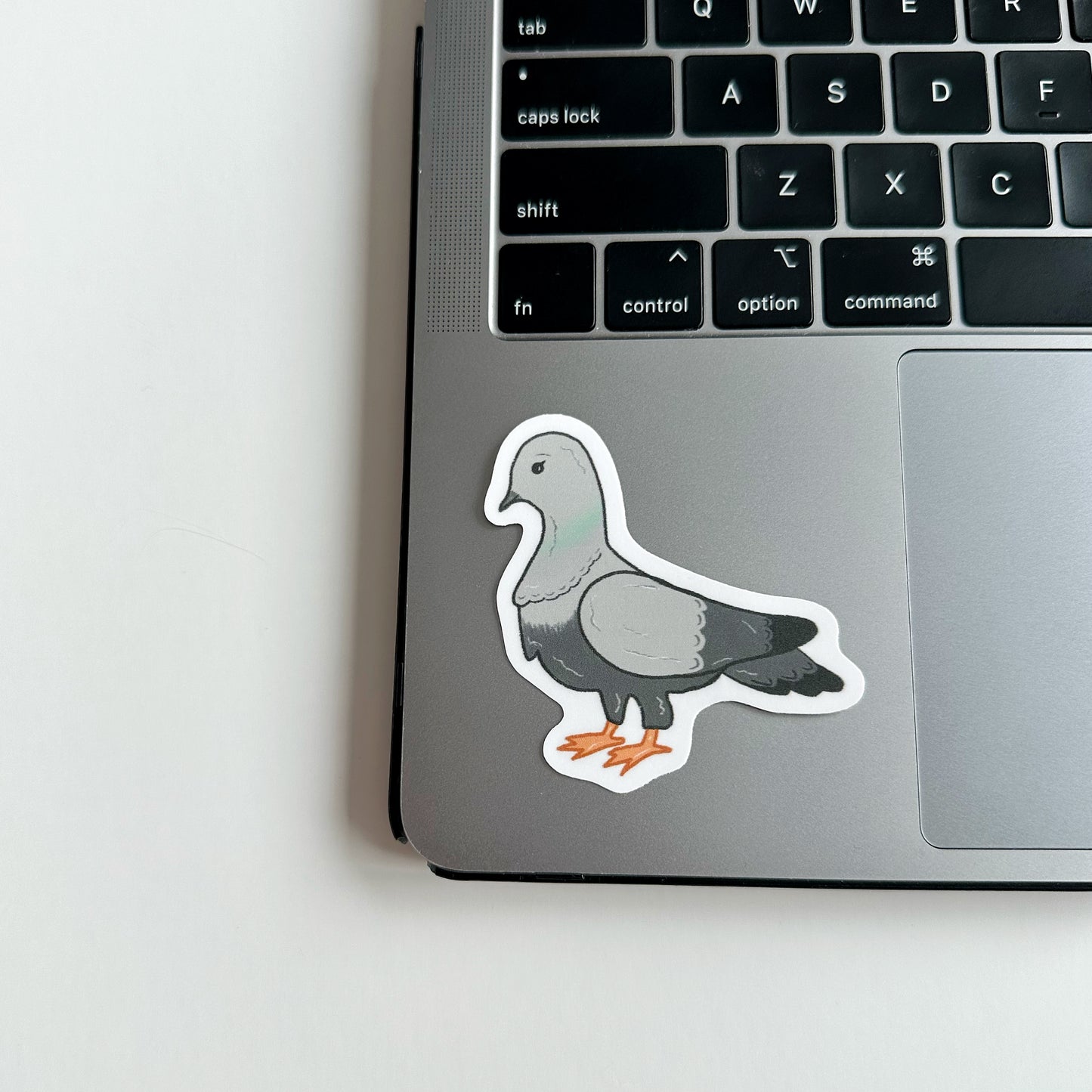 Pigeon Sticker