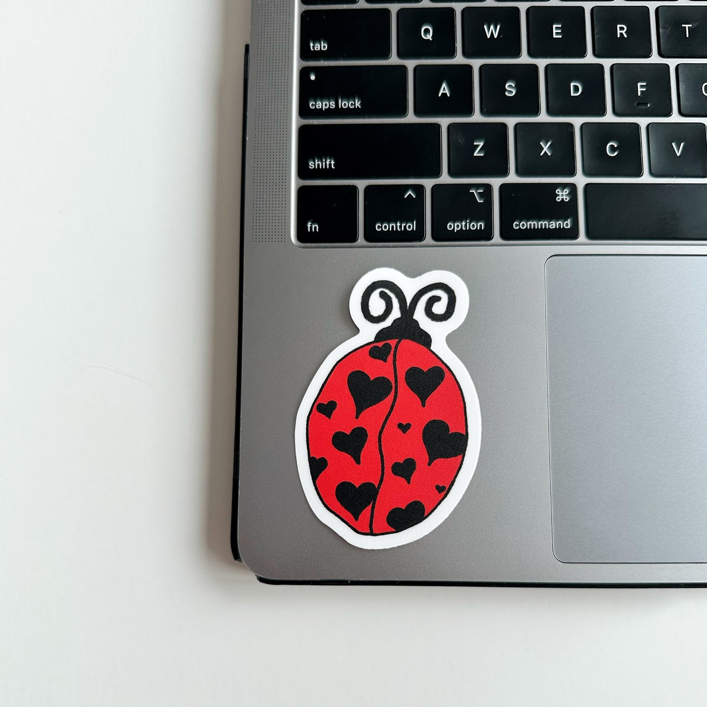 Lady Bug Sticker